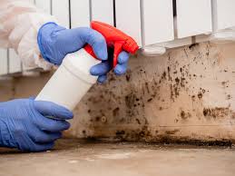 Mold Inspection